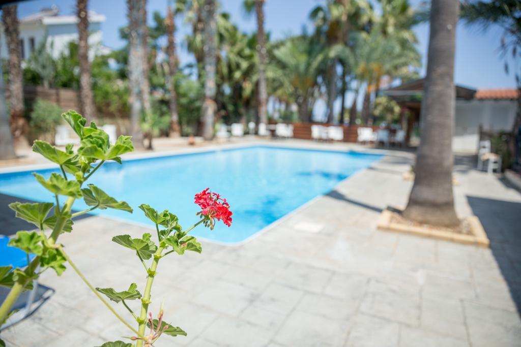Periyiali Apartments Polis Ngoại thất bức ảnh